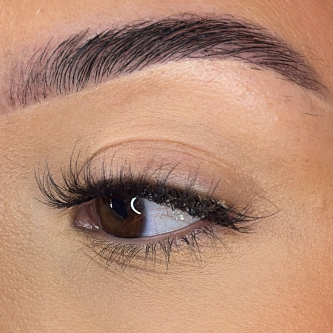 Preglued Lash Clusters - Faff Lash - Ava Lash Ribbons®