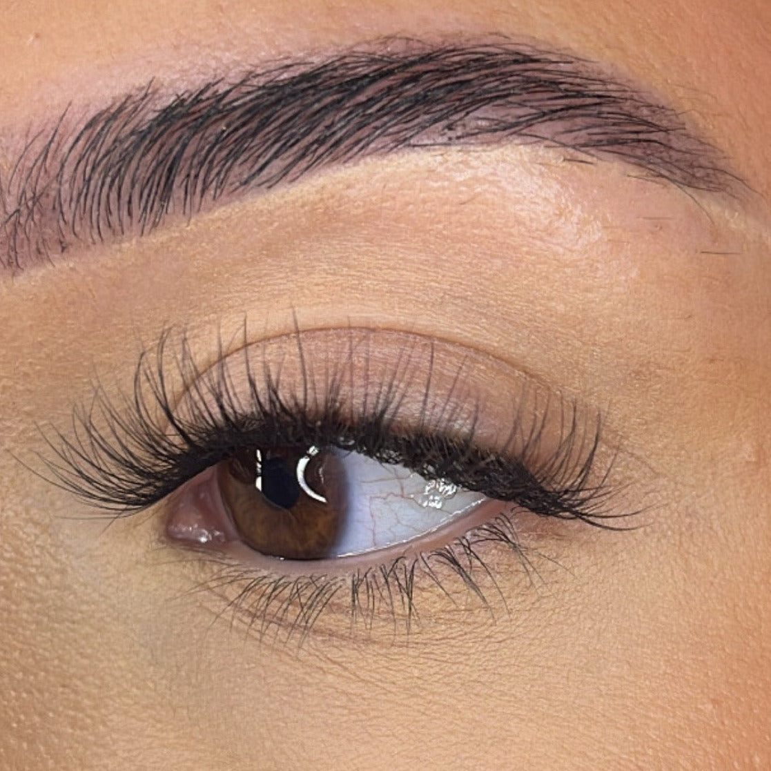 Pre-Glued Lash Clusters - Faff Lash - Mia Lash Ribbons®