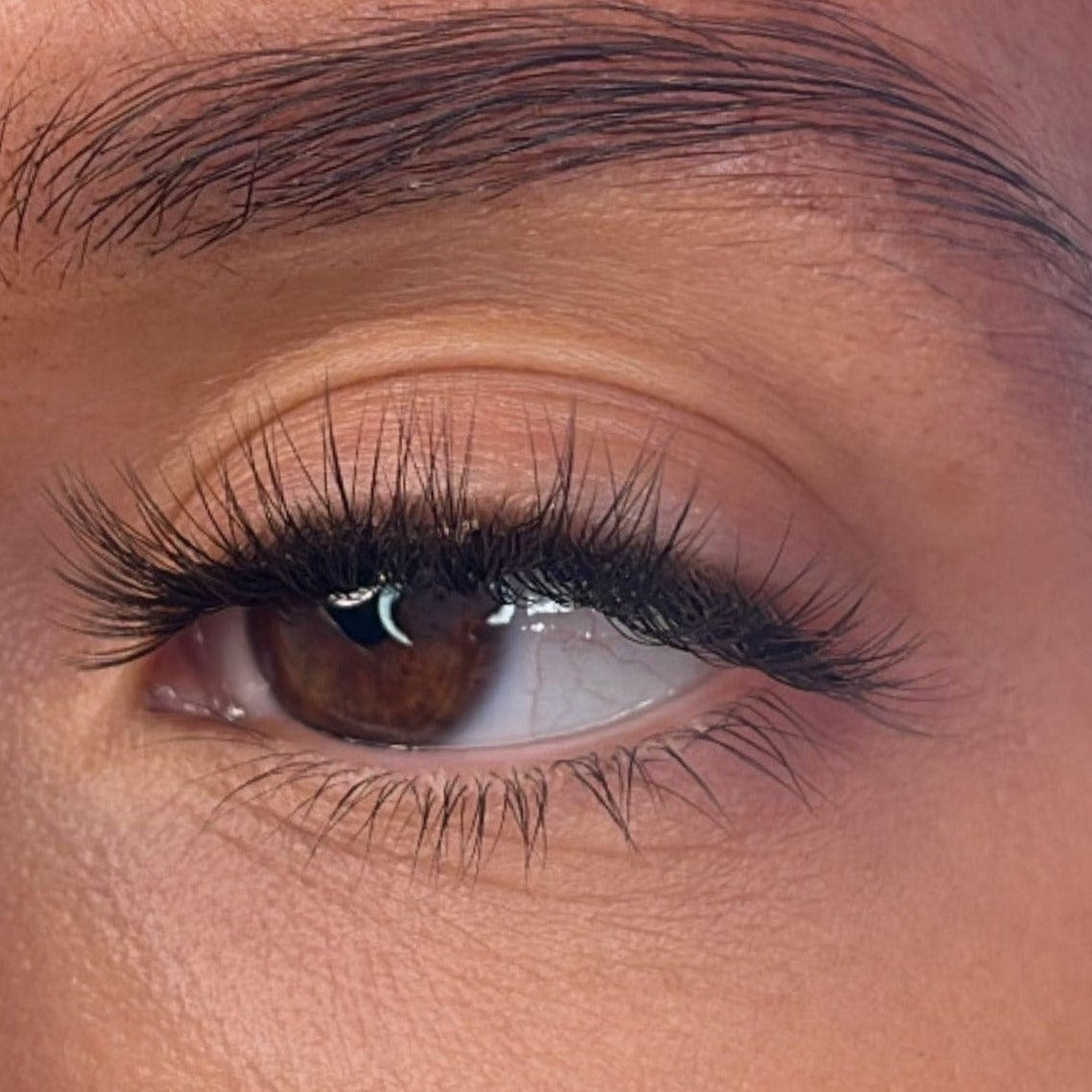 Vevina Pre Styled Lash Ribbons® Lash Ribbons®