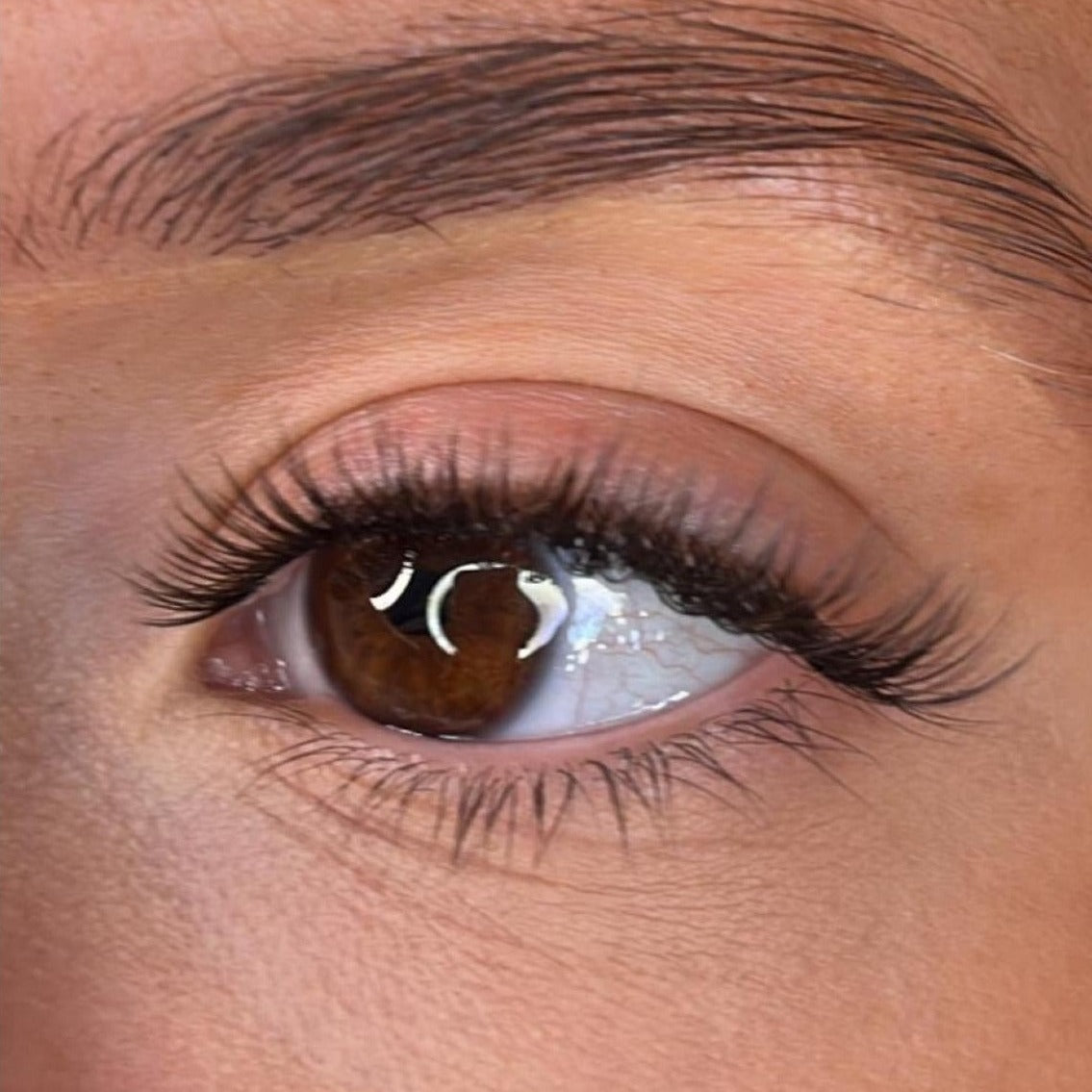 Aileen Pre Styled Lash Ribbons® Lash Ribbons®