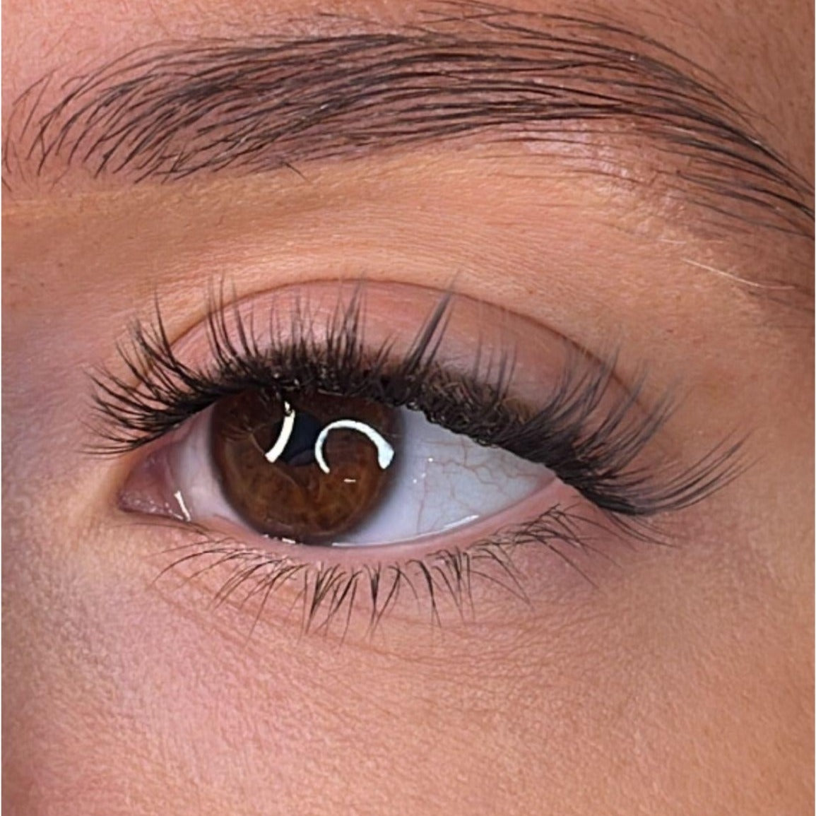 Brenna Pre Styled Lash Ribbons® Lash Ribbons®