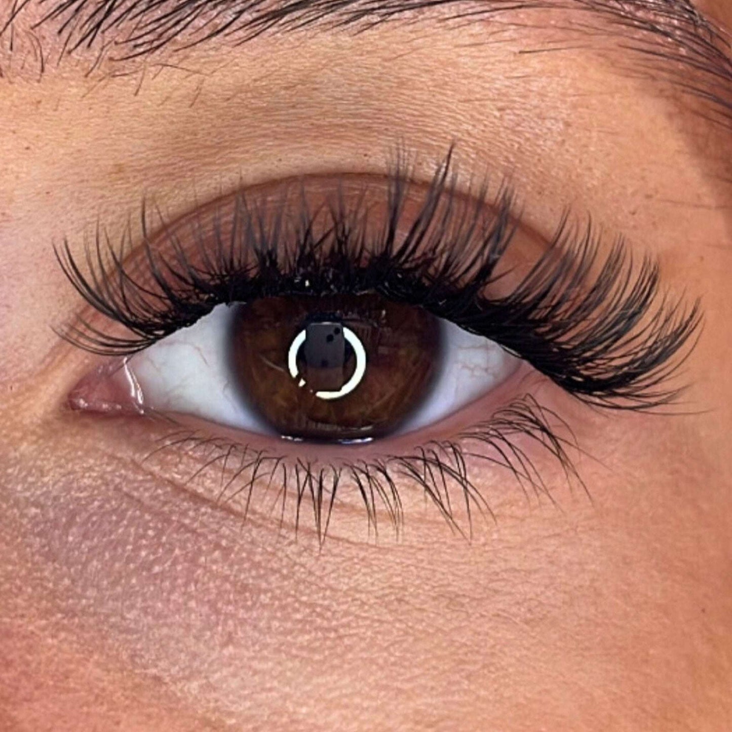 Lash Ribbons® Exclusive Lash Christmas Trees Lash Ribbons®