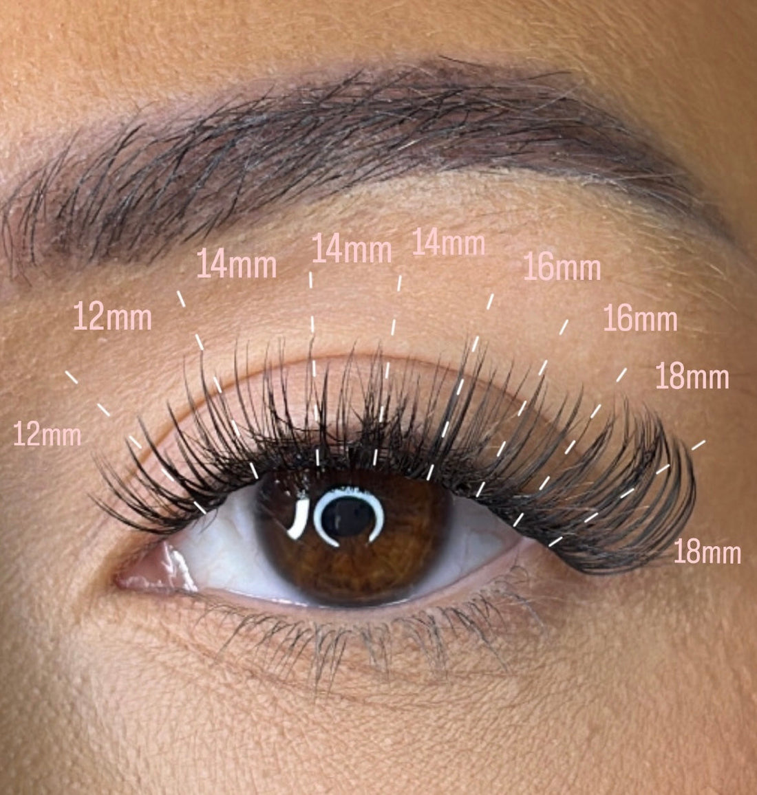 Cluster Lashes Mapping Made Simple