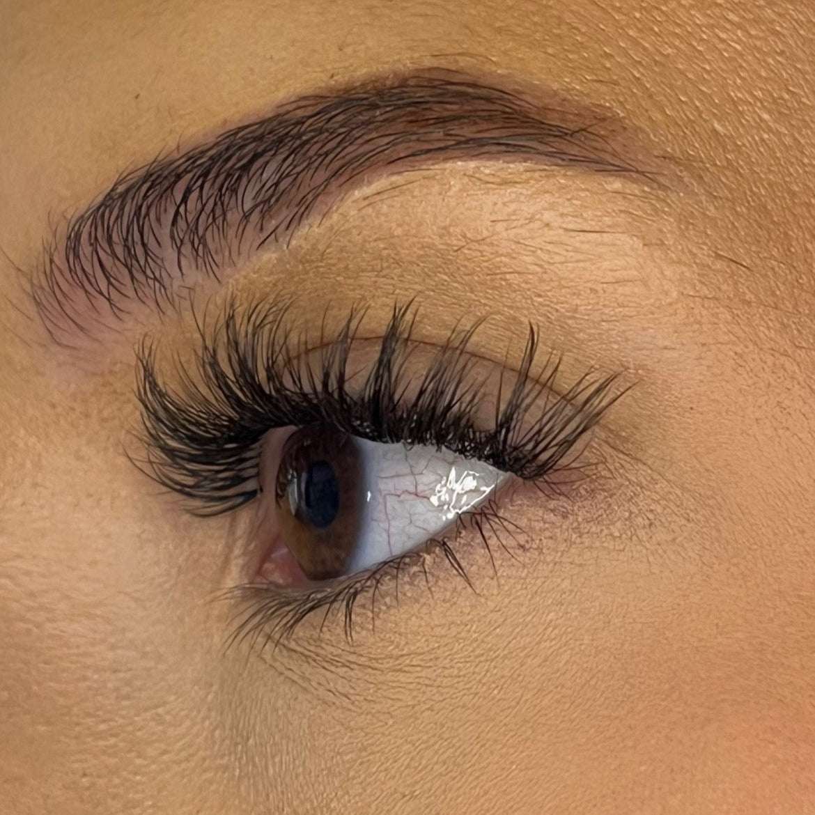 Pre-Glued No Faff Half or Full Lash- Bronagh Lash Ribbons®