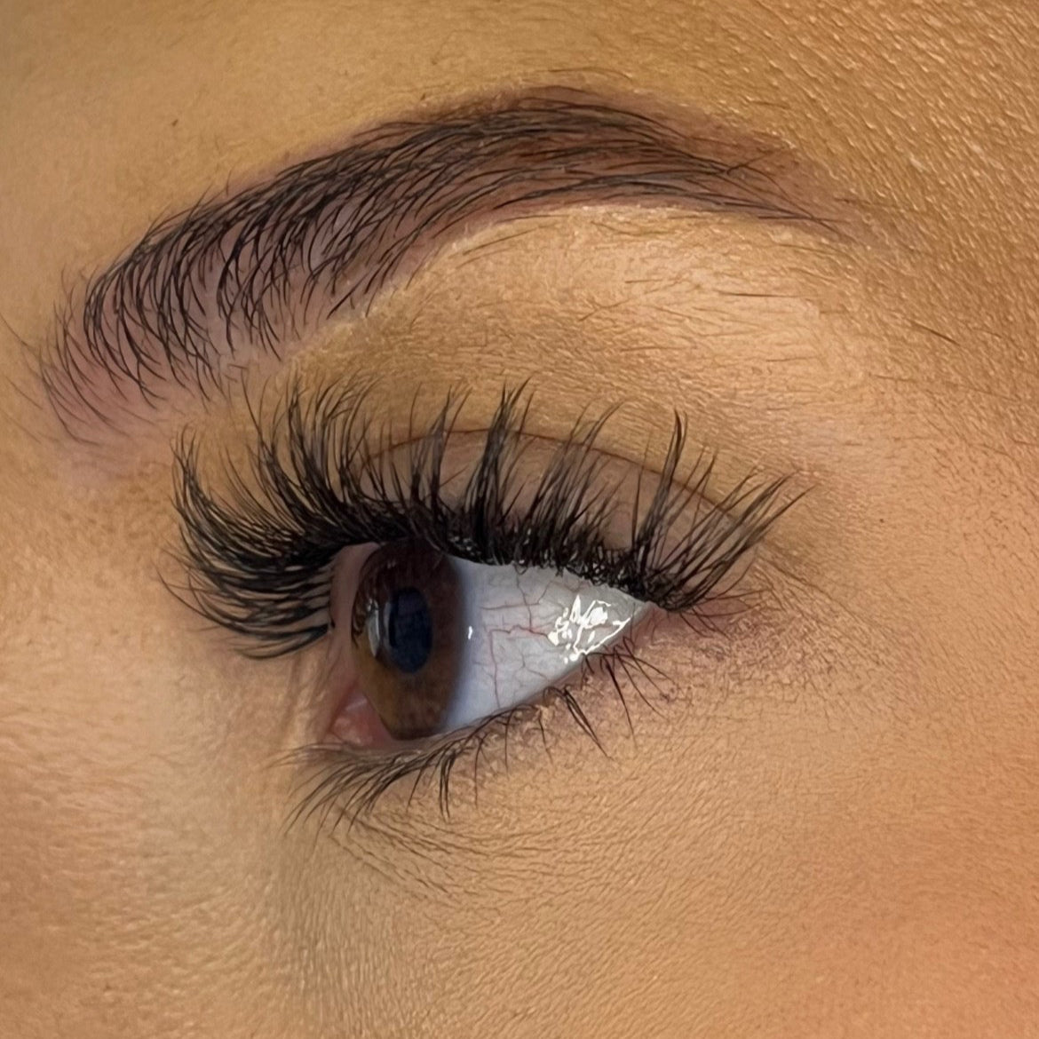 Pre-Glued No Faff Half or Full Lash- Bronagh