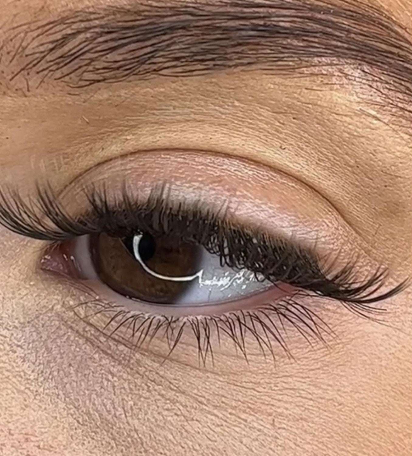Niamh - 3D Black/Brown 'C' Curl Lash Ribbons® Lash Ribbons