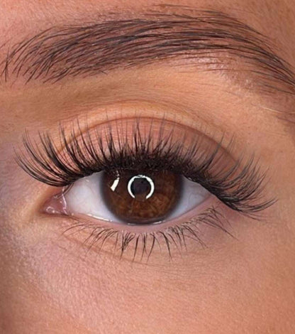 Niamh - 3D 'D' Curl Lash Ribbons® Lash Ribbons®