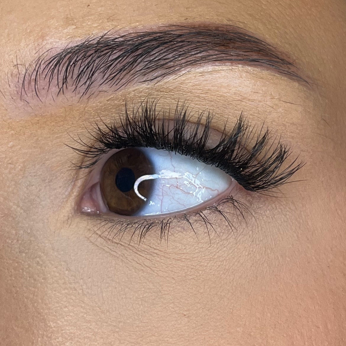 Pre-Glued No Faff Half or Full Lash- Fenella