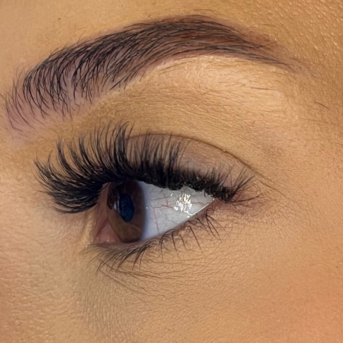 Pre-Glued No Faff Half or Full Lash- Fenella