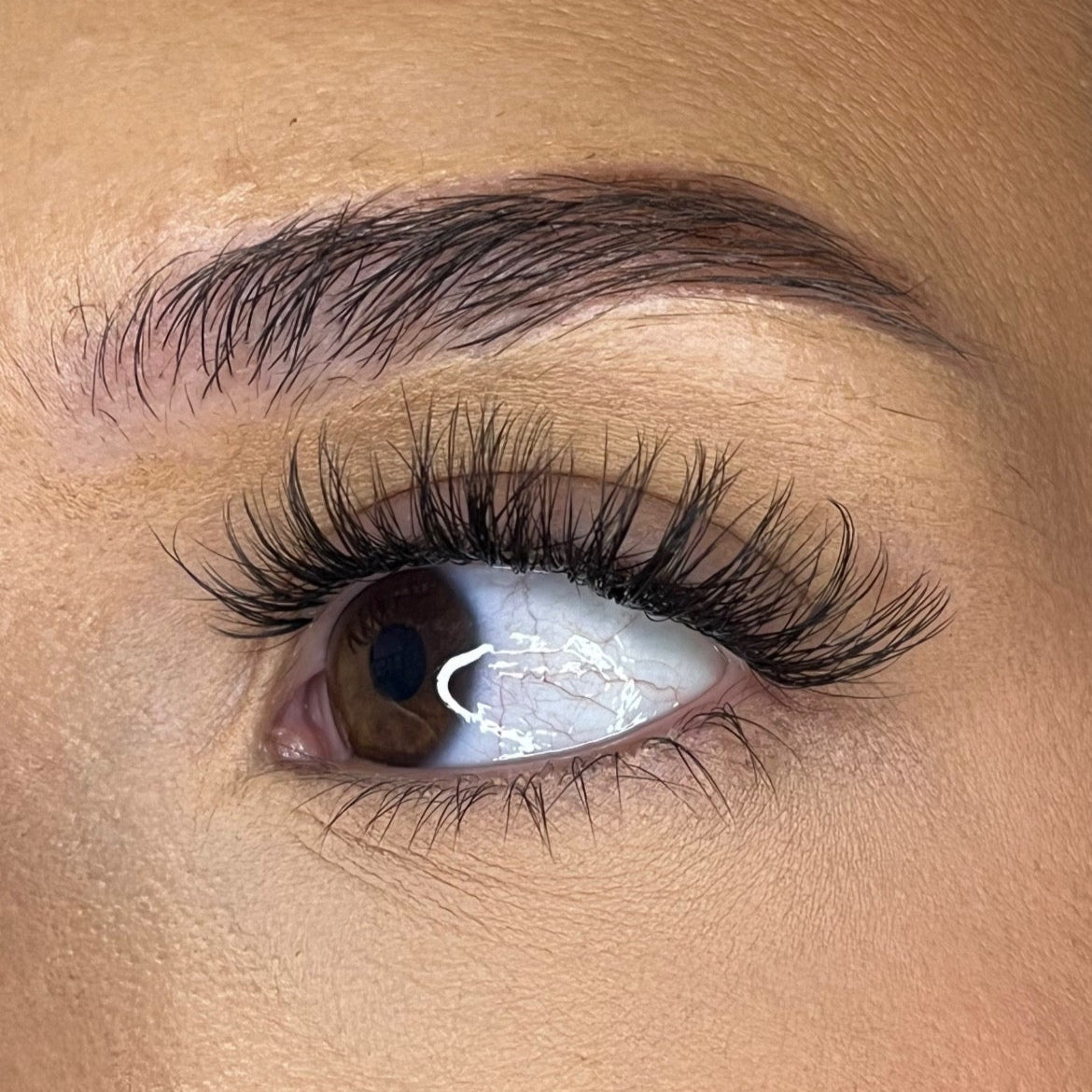 Pre-Glued No Faff Half or Full Lash- Bronagh