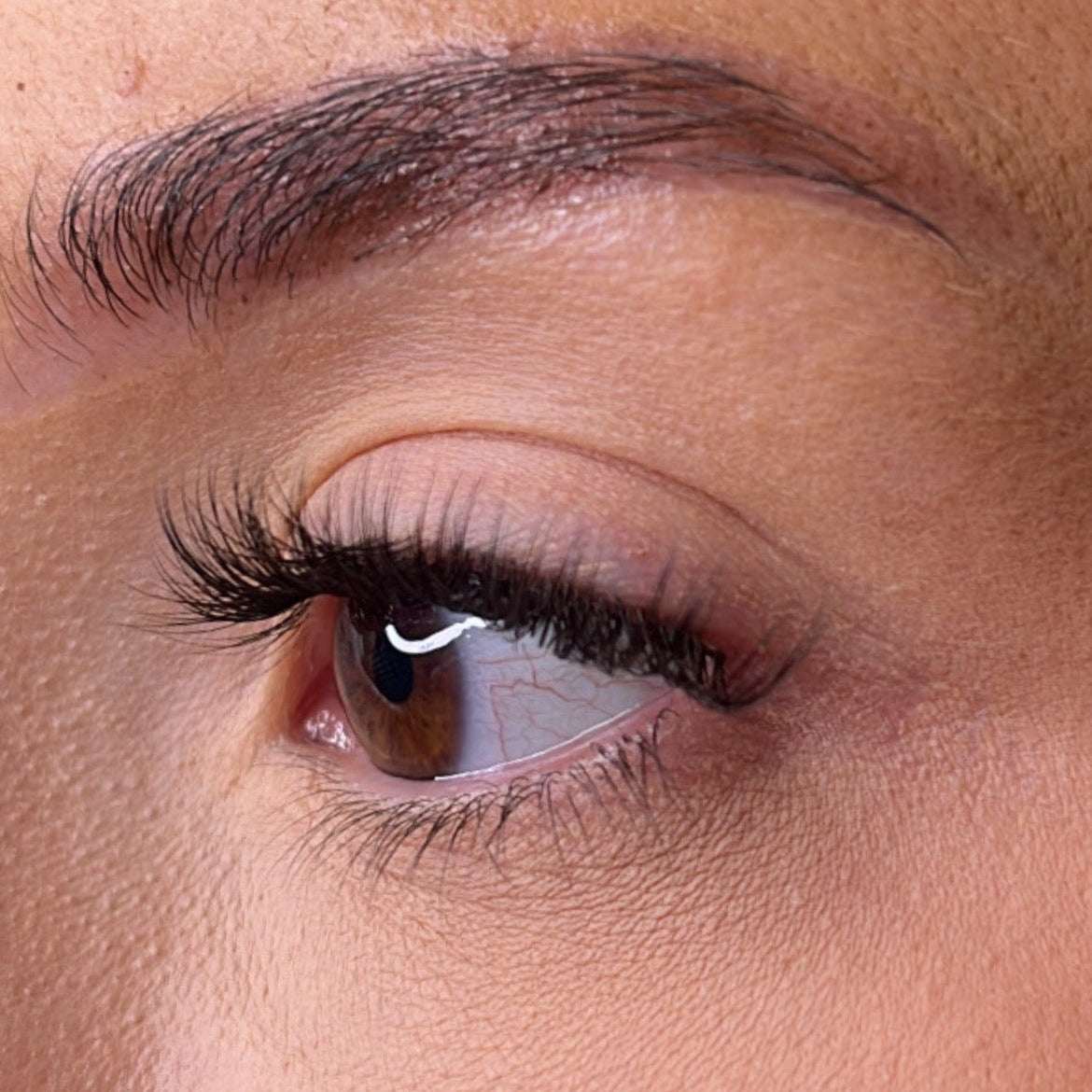Pre-Glued Lashes - K Glue No Faff Lash - Dee Lash Ribbons®