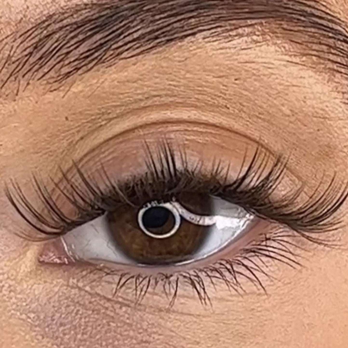 Tegan - 3D Black/Brown 'C' Curl Lash Ribbons® Lash Ribbons