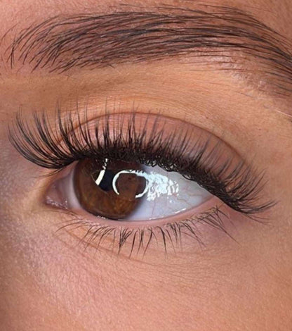 Niamh - 3D 'D' Curl Lash Ribbons® Lash Ribbons®