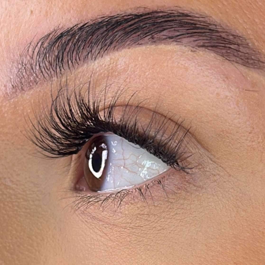 Pre-Glued Lash Clusters -  Faff Lash - Mia Lash Ribbons®