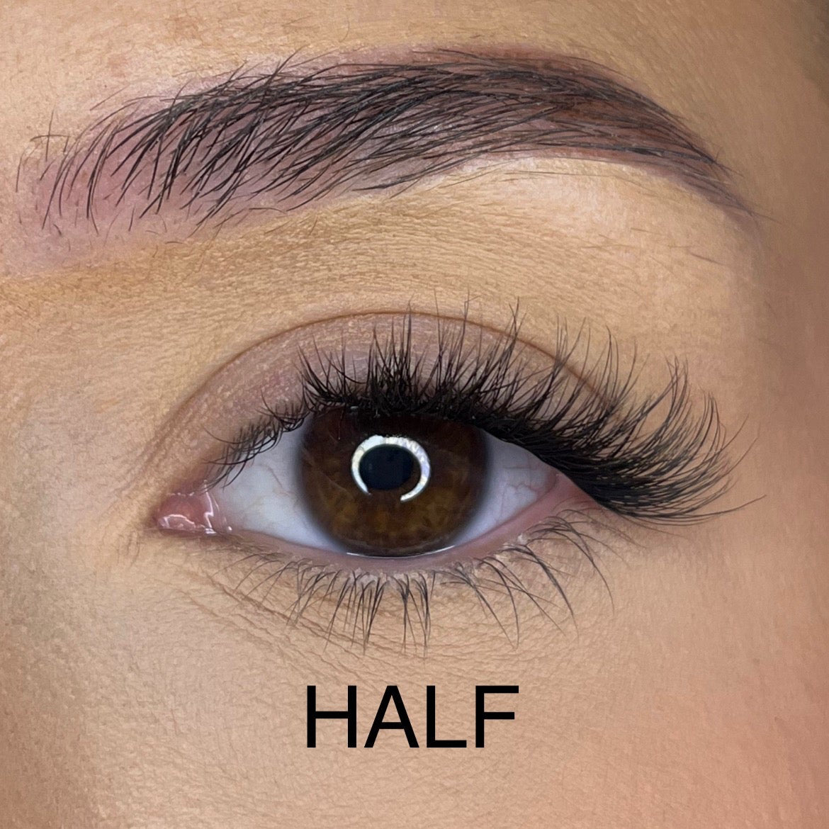 Pre-Glued No Faff Half or Full Lash- Kassady