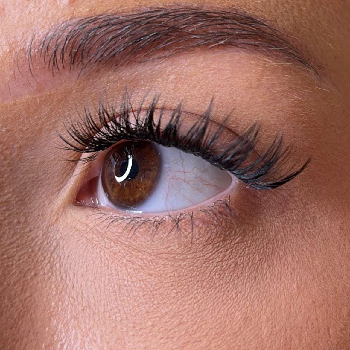 Pre-Glued Lashes - K Glue No Faff Lash - Mor Lash Ribbons®