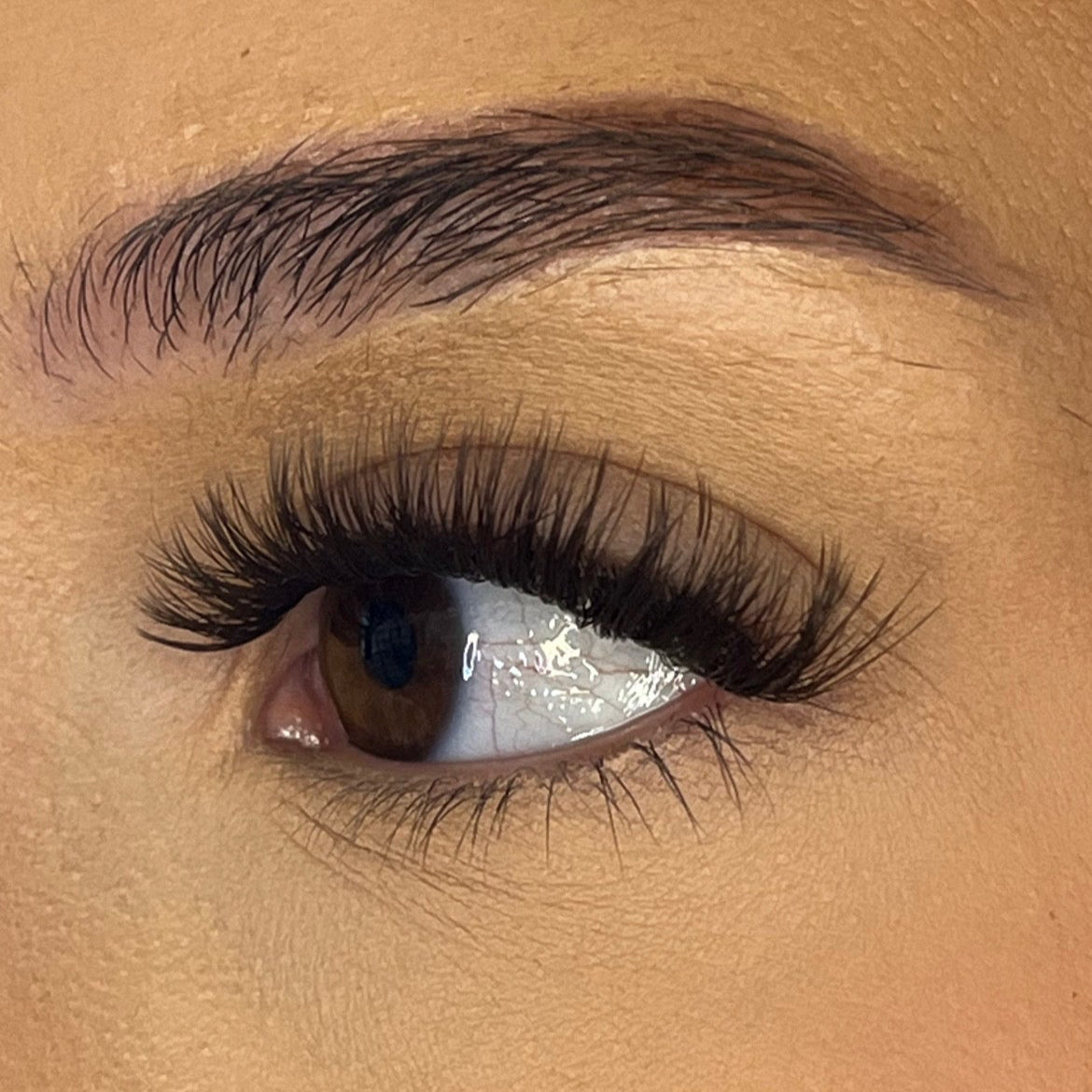 Pre-Glued No Faff Half or Full Lash- Nerisha (Dark Brown)