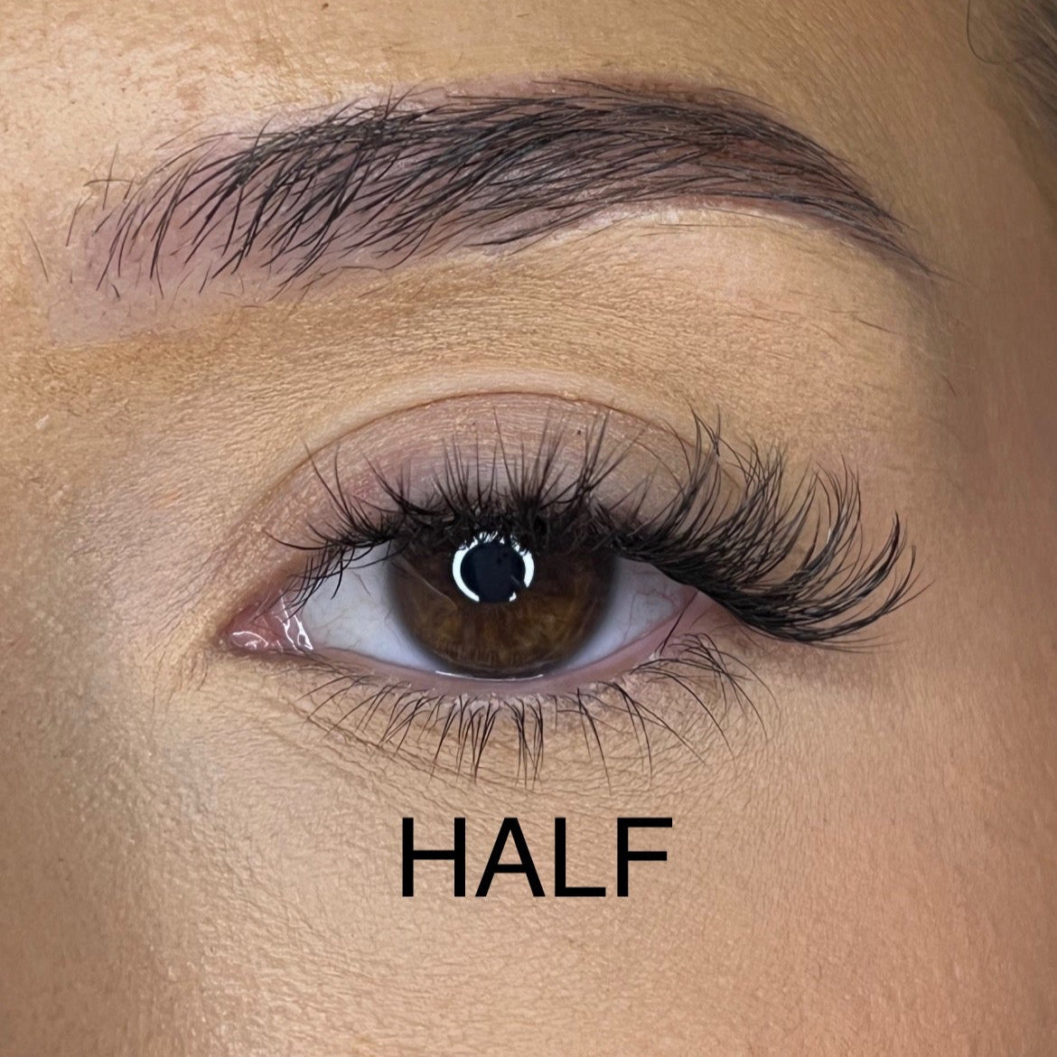 Pre-Glued No Faff Half or Full Lash- Bronagh