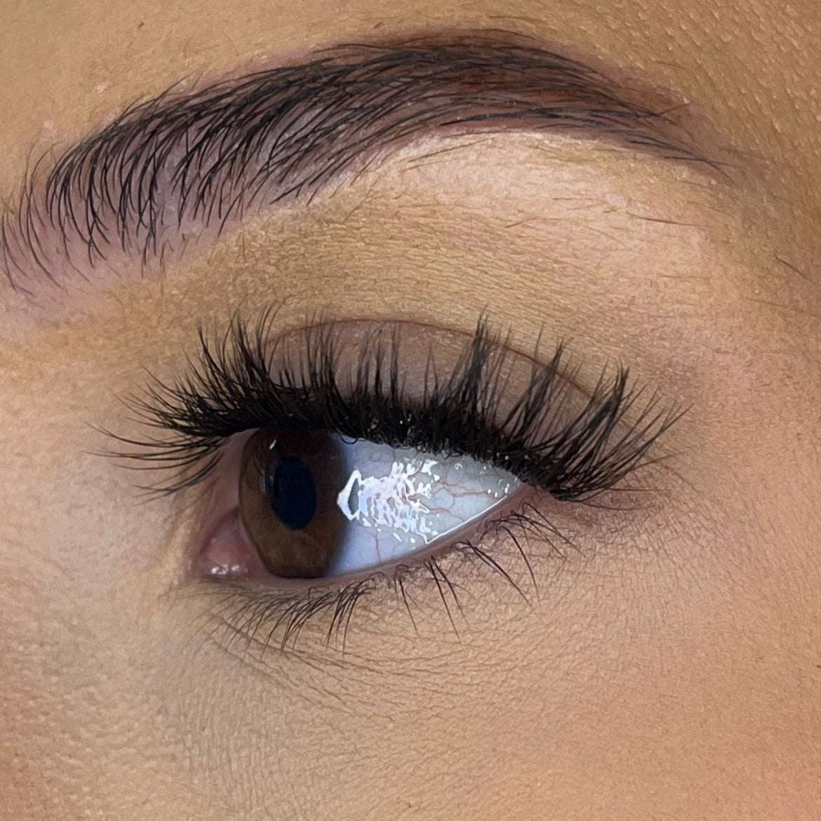 Pre-Glued No Faff Half or Full Lash- Fenella Lash Ribbons®