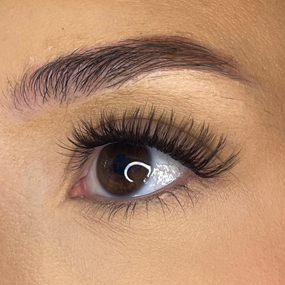 Pre-Glued No Faff Half or Full Lash- Nerisha (Dark Brown)