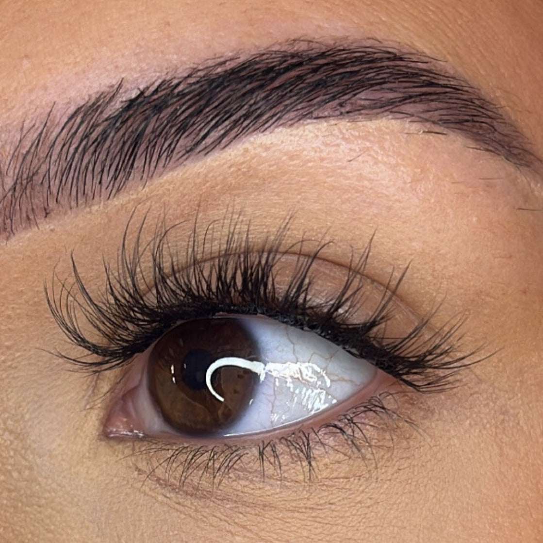 Preglued Lash Clusters -  Faff Lash - Ava Lash Ribbons®