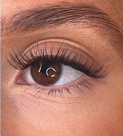 Brea - 'C' Curl Lash Ribbons® Invisible Band Lash Ribbons®