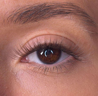 Brea - 'C' Curl Brown Lash Ribbons® Lash Ribbons®