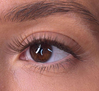 Brea - 'C' Curl Brown Lash Ribbons® Lash Ribbons®