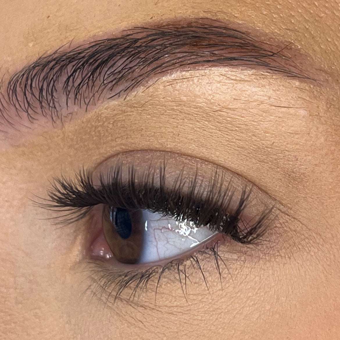 Pre-Glued No Faff Half or Full Lash- Nerisha (Dark Brown) Lash Ribbons®