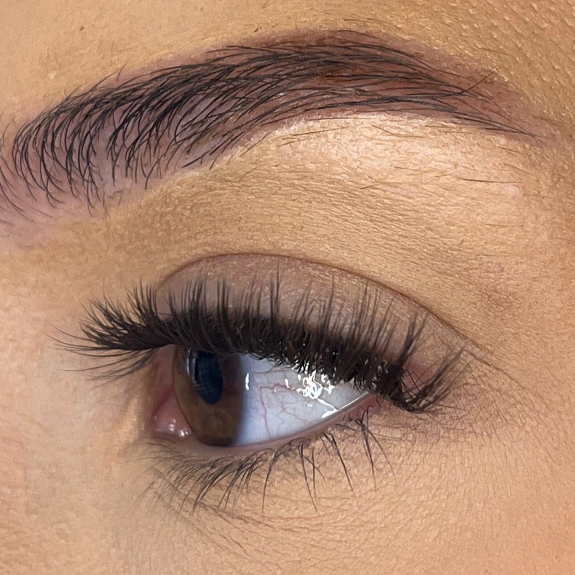 Pre-Glued No Faff Half or Full Lash- Nerisha (Dark Brown)