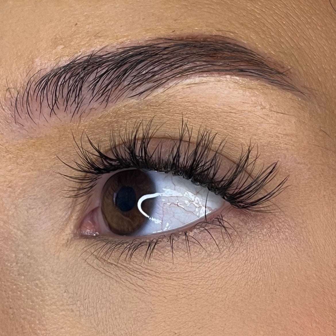 Pre-Glued No Faff Half or Full Lash- Bronagh Lash Ribbons®