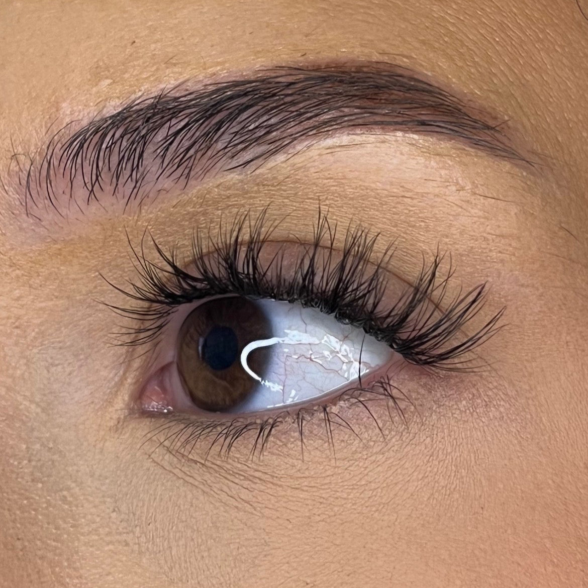 Pre-Glued No Faff Half or Full Lash- Bronagh