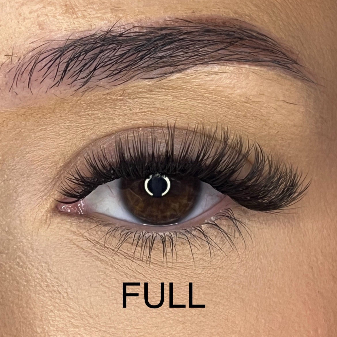 Pre-Glued No Faff Half or Full Lash- Nerisha (Dark Brown)