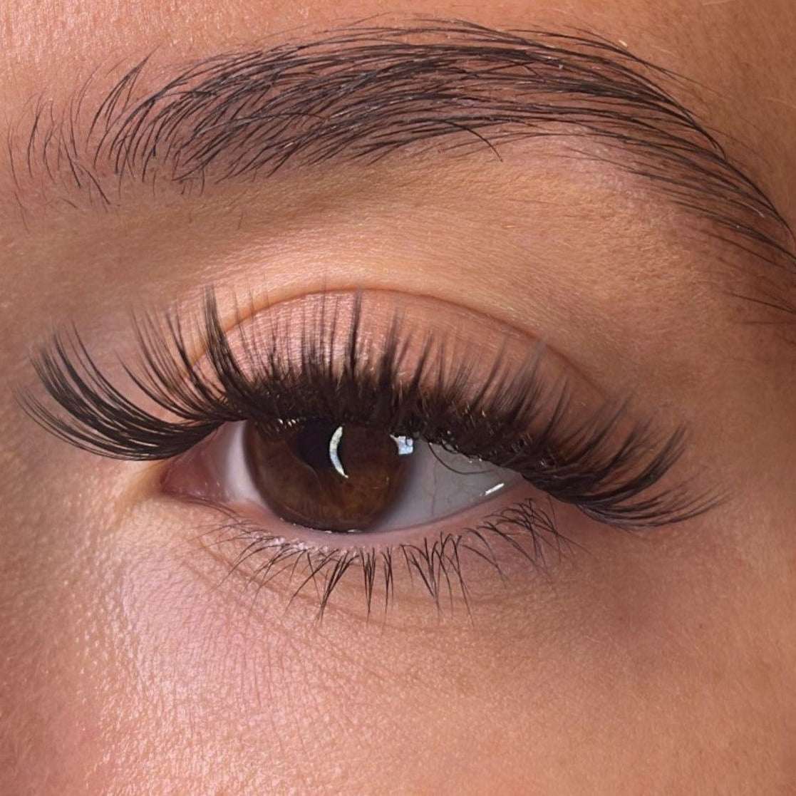 Enya - 'D' Curl Lash Ribbons® Lash Ribbons®
