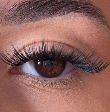 Erin - 'D' Curl Lash Ribbons® Lash Ribbons®