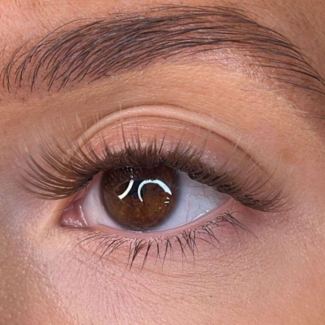 Erin - 'C' Curl Brown Lash Ribbons® Lash Ribbons