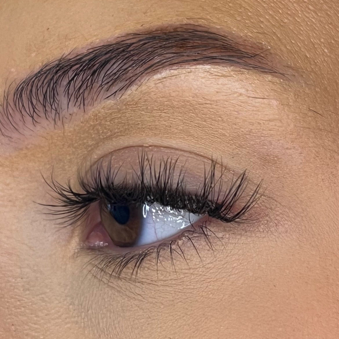 Pre-Glued No Faff Half or Full Lash- Bronagh