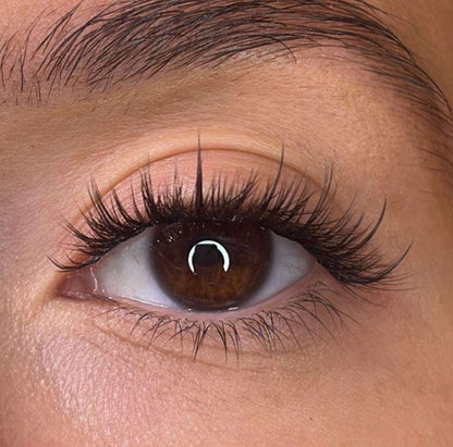 Fallon Pre Styled Lash Ribbons® Lash Ribbons®
