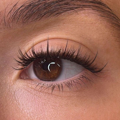 Fallon Pre Styled Lash Ribbons® Lash Ribbons®
