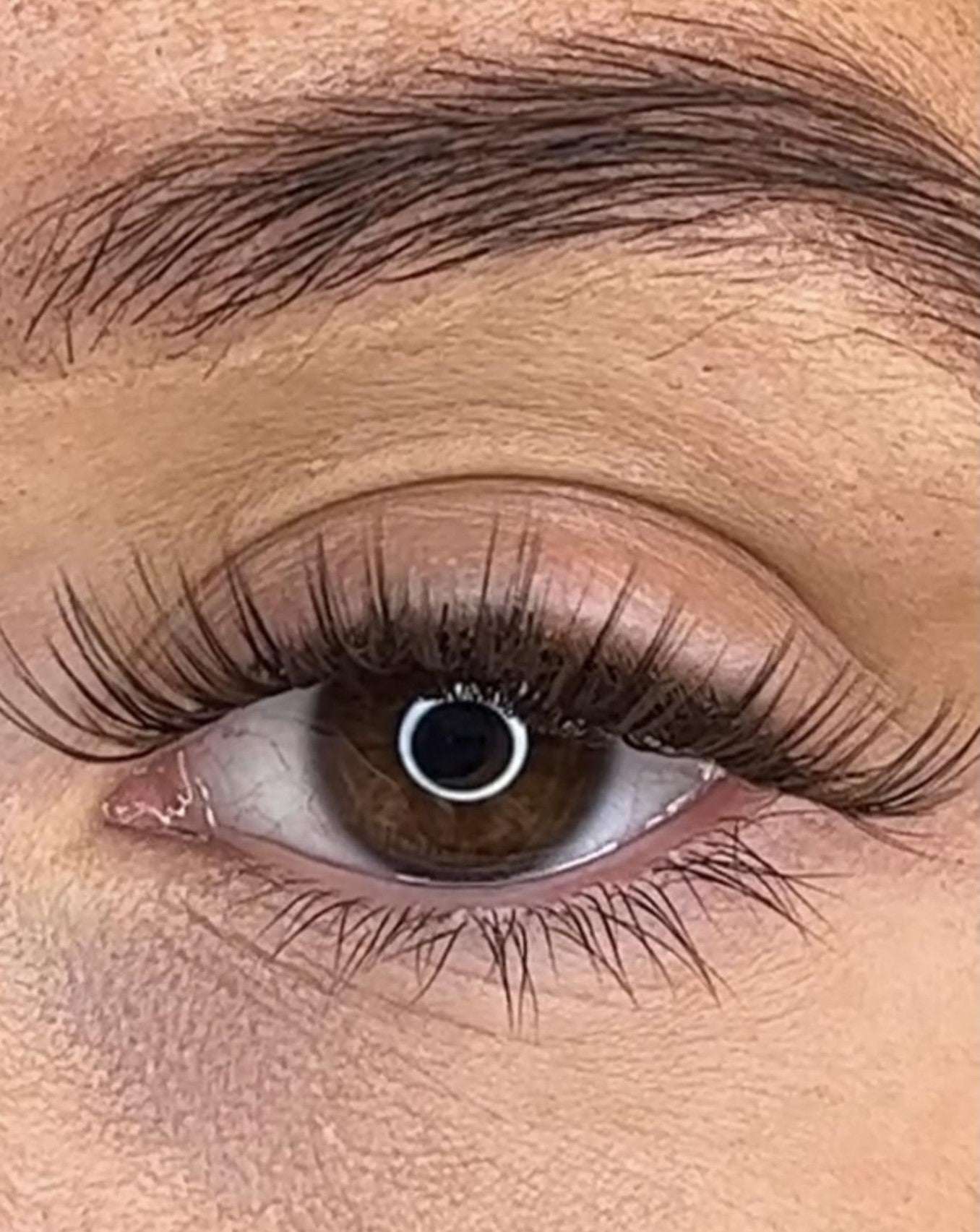 Feena - 3D Black/Brown 'C' Curl Lash Ribbons® Lash Ribbons
