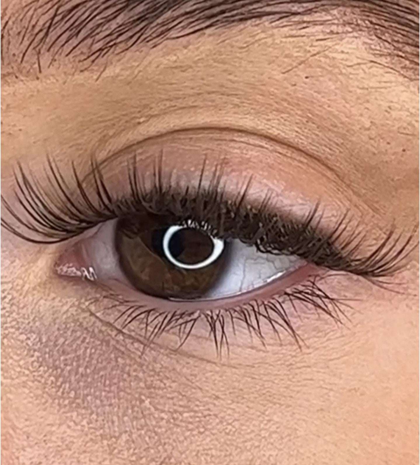 Feena - 3D Black/Brown 'C' Curl Lash Ribbons® Lash Ribbons