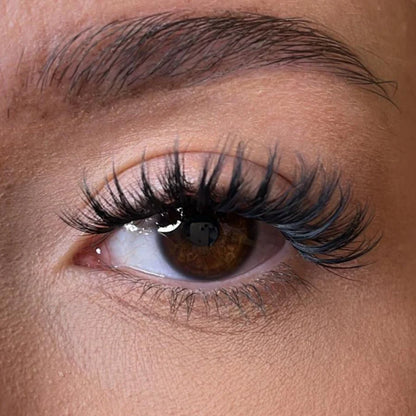 Pre-Glued Lash Clusters - No Faff Lash - Kia Original Lash Ribbons®