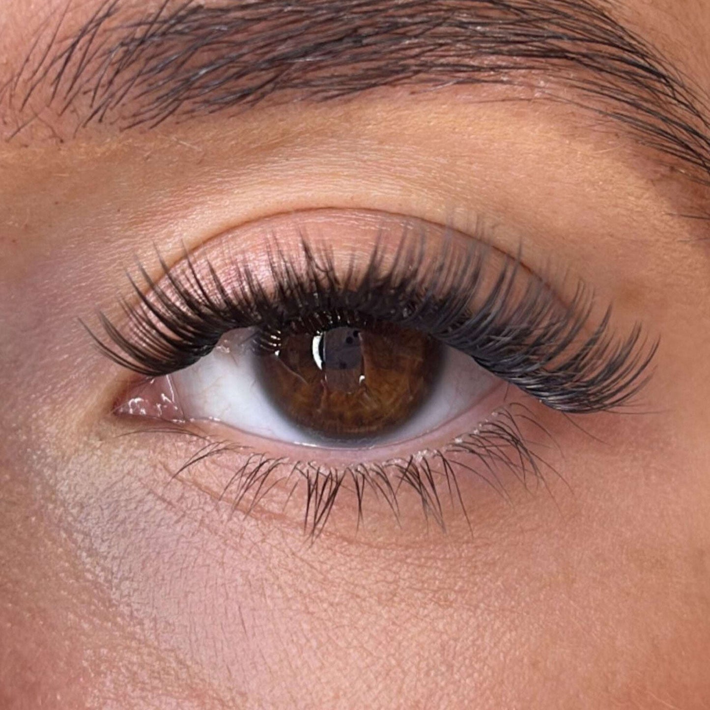 Keri Lash Ribbons® Collections Lash Ribbons®