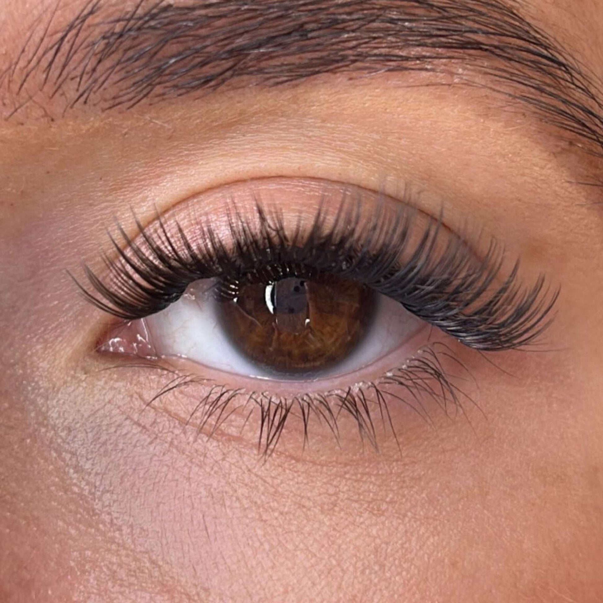 Keri Lash Ribbons® Collections Lash Ribbons®