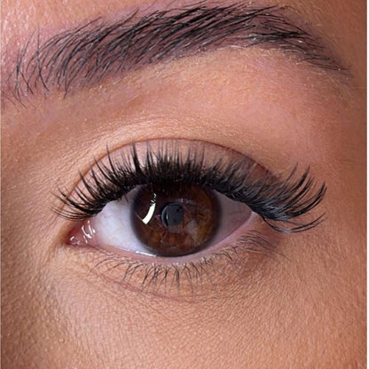 The Medium Lash Collection With No Name Lash Ribbons®