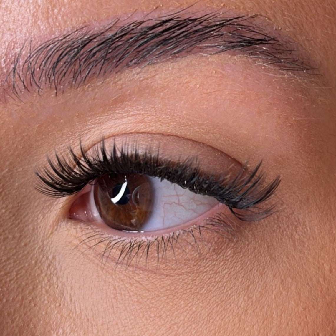The Medium Lash Collection With No Name Lash Ribbons®