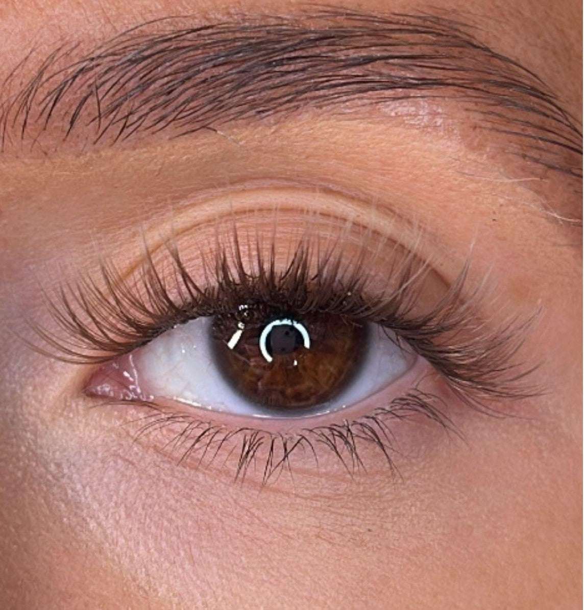 Logan - 3D 'D' Curl Brown Lash Ribbons® Lash Ribbons