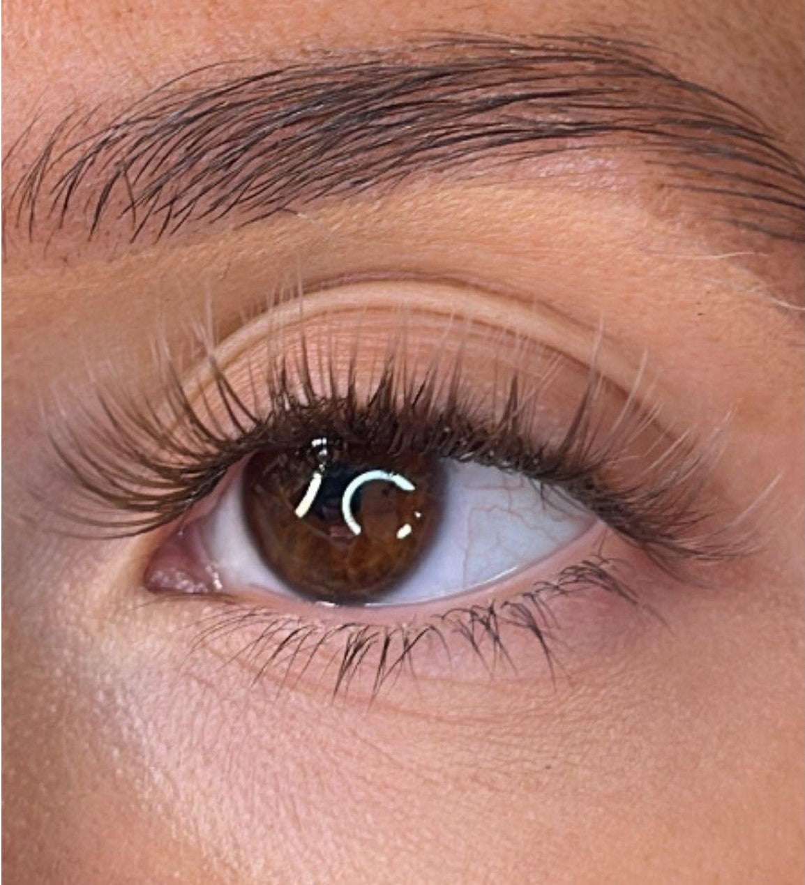 Logan - 3D 'D' Curl Brown Lash Ribbons® Lash Ribbons