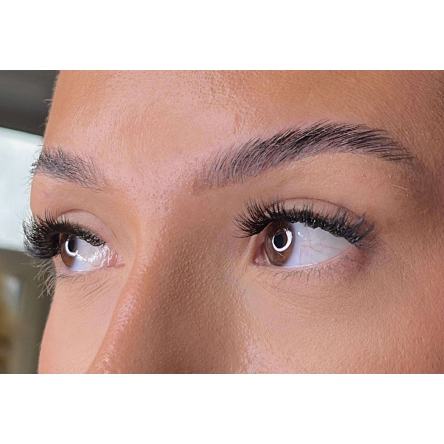 Premium Christmas Collection Limited Edition Starter Kit Lash Ribbons