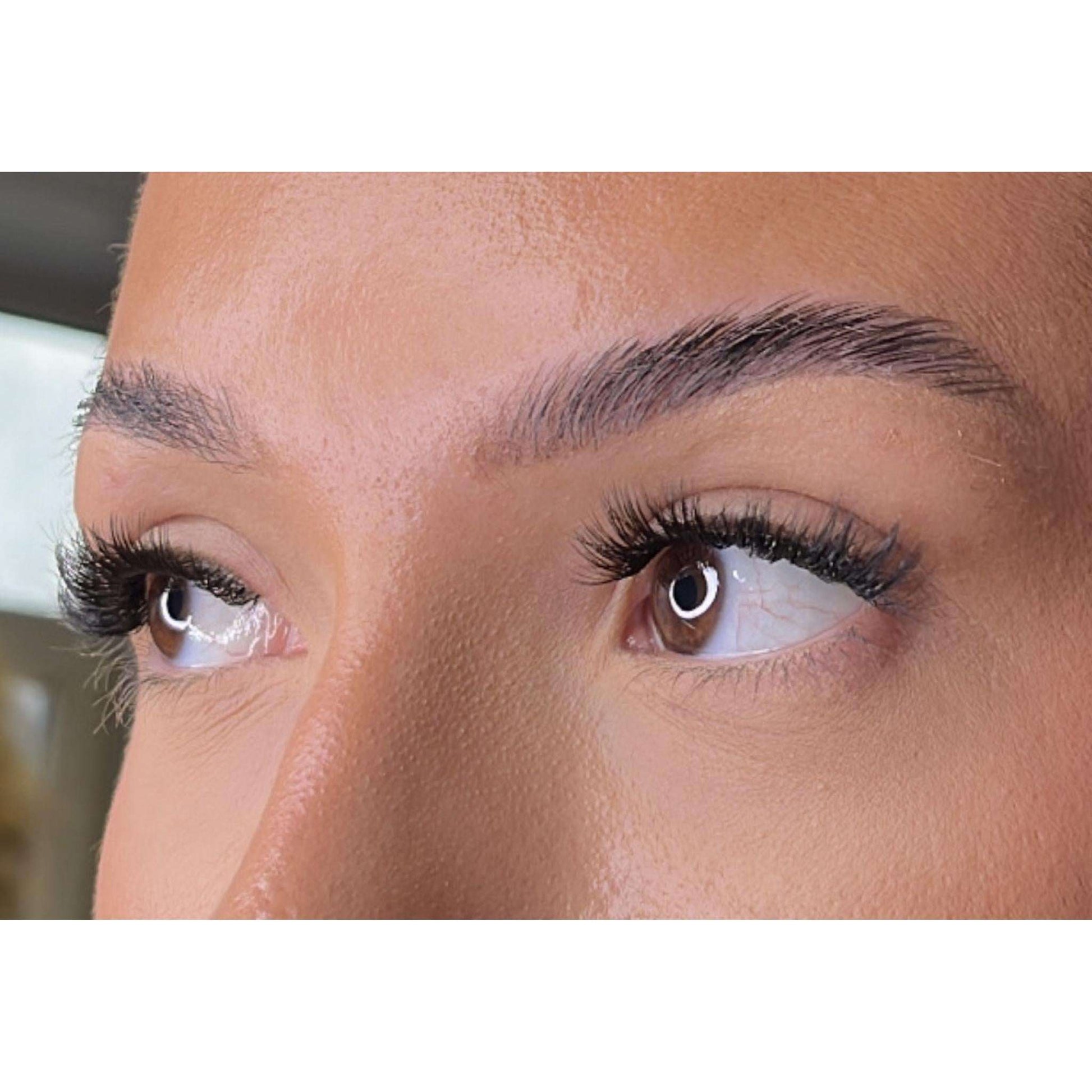 Premium Christmas Collection Limited Edition Starter Kit Lash Ribbons